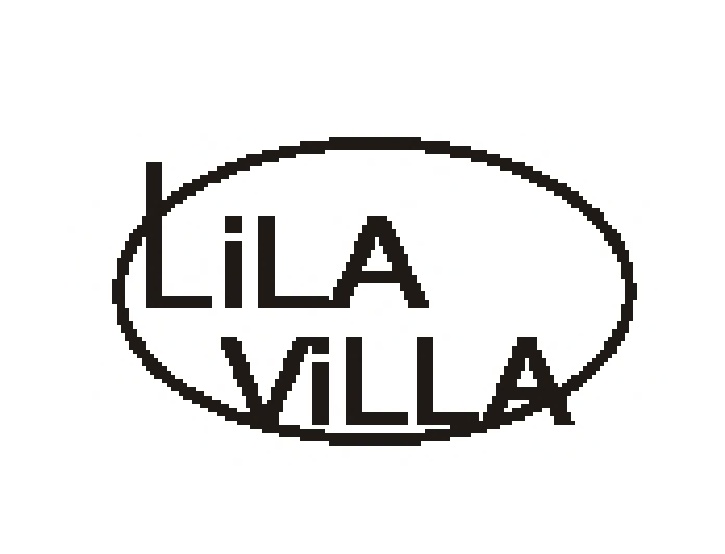 Artikelbild Frauenzentrum Lila Villa